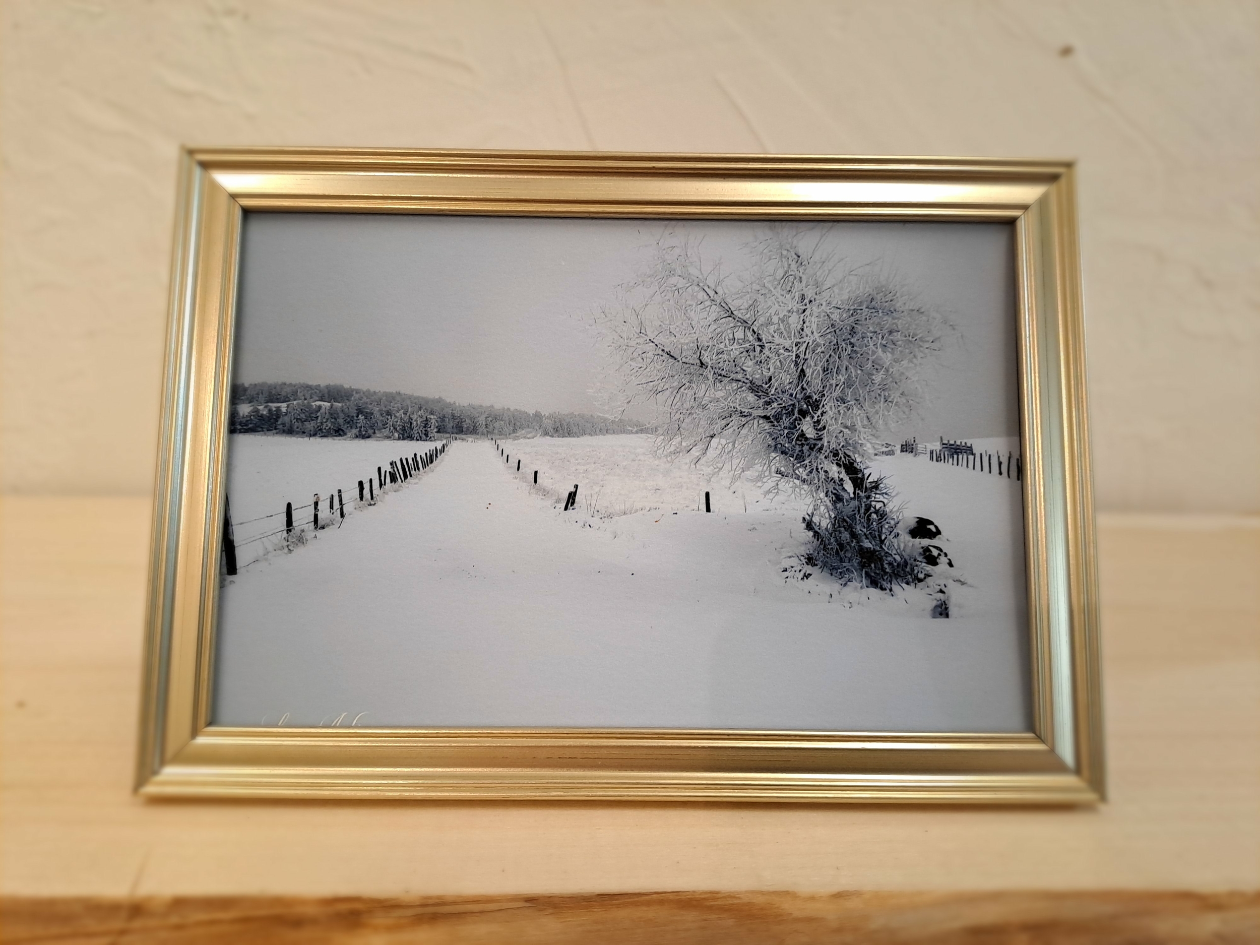 photo neige aubrac-cadre doré-Retour dAubrac