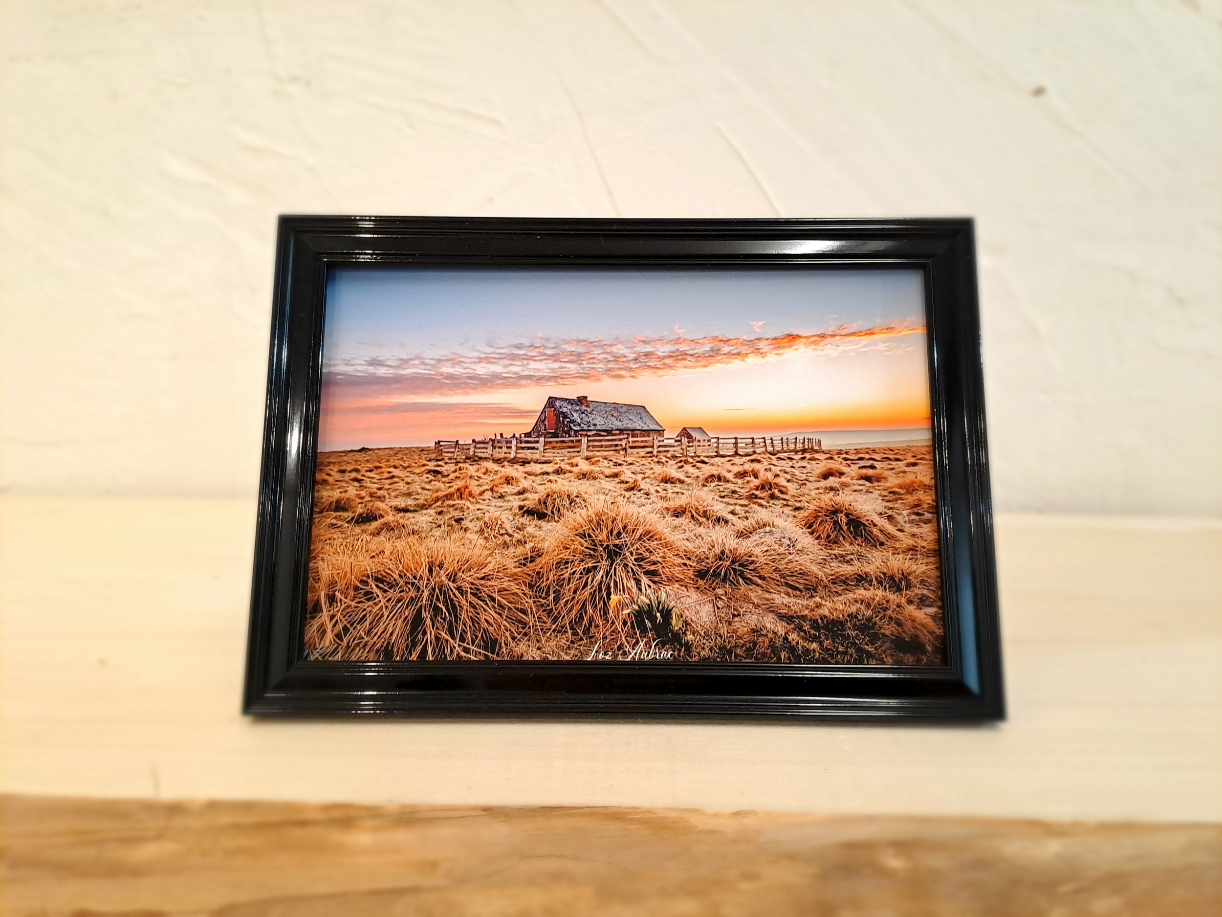 photo buron aubrac-cadre noir-Retour dAubrac