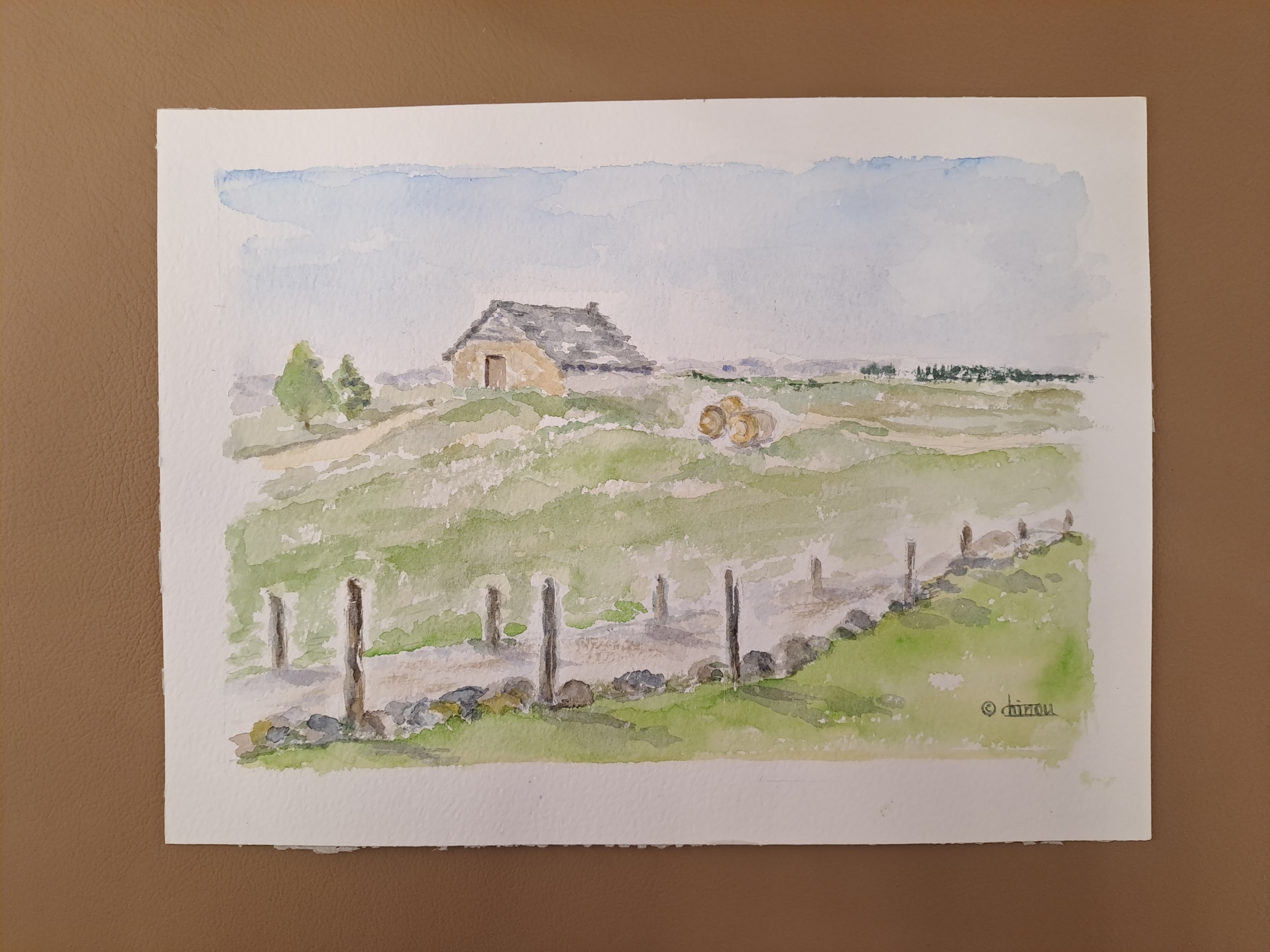 Aquarelle N°2 Buron-Retour dAubrac