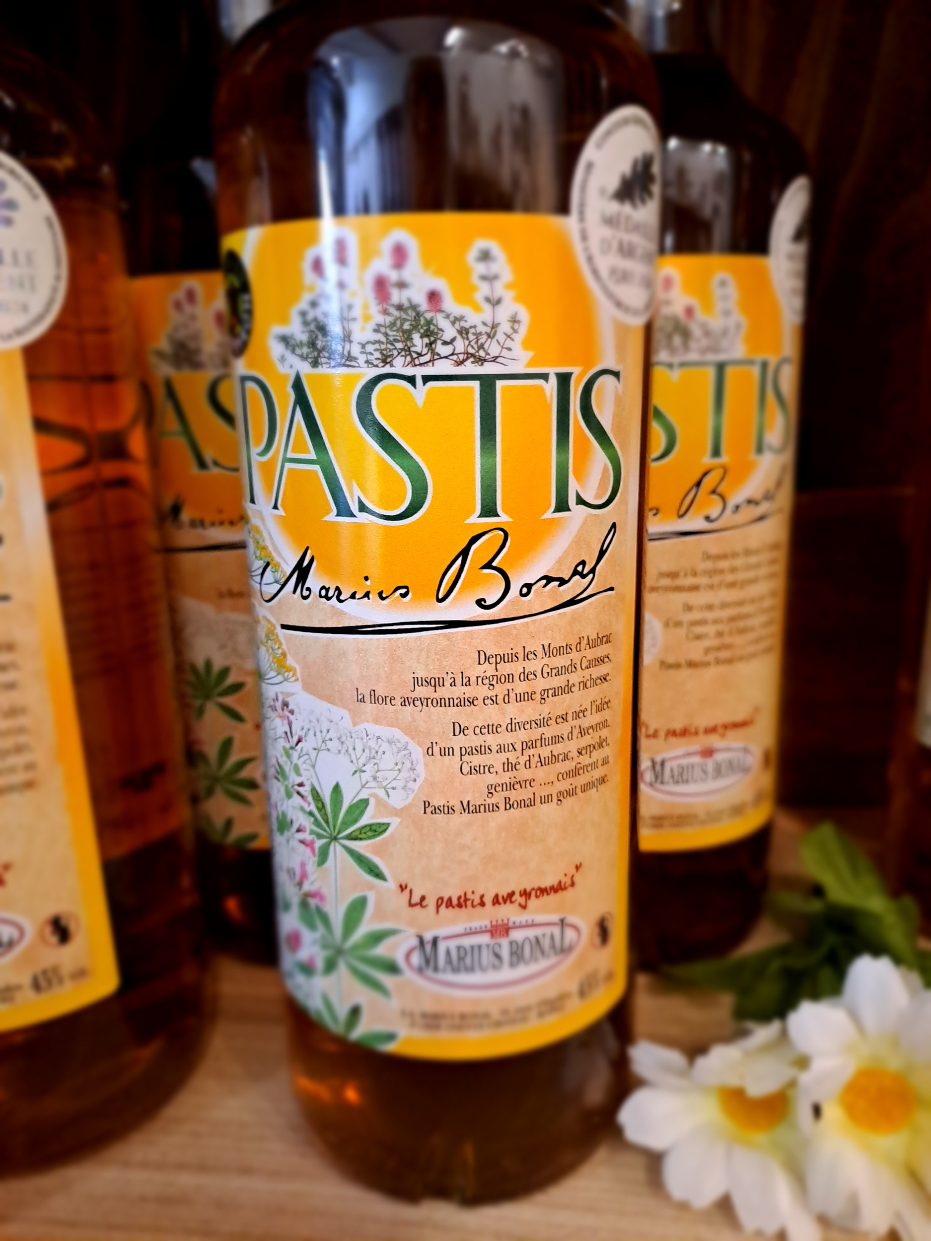 pastis aveyronnais-marius bonal-retour daubrac-aveyron