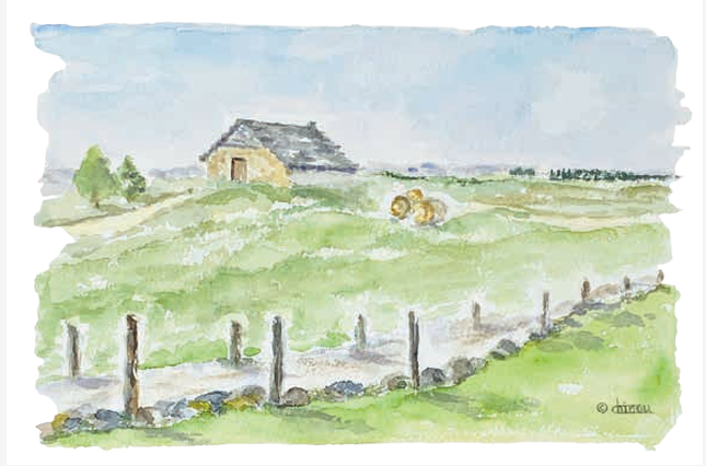 carte postale-aquarelle-buron-plateau de lAubrac-Retour dAubrac-Aveyron-cadeaux français
