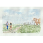 Aquarelle N°14 Plateau de l'Aubrac-Retour d'Aubrac 2-