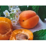 abricots, alimentation saine, aliments