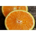 oranges, NIAC 4.2 Lentilles, orange, poivre Sichuan, maison bras, retour daubrac, aveyron, cadeau français