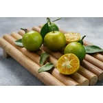 calamansi, NIAC 5.2 Vinaigre & calamansi, maison bras, retour daubrac, aveyron, cadeau français