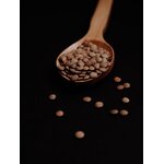 lentilles séchées, maison Bras, NIAC 4.3, retour daubrac, aveyron, spécialités aveyronnaises