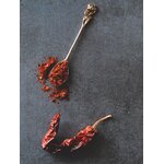 piments despelette, maison Bras, NIAC 4.3, retour daubrac, aveyron, spécialités aveyronnaises