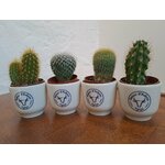 tasse en porcelaine-cadeau français-retour dAubrac-