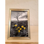 photo jonquilles aubrac-cadre doré-Retour dAubrac