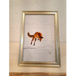 photo renard en chasse aubrac-cadre doré-Retour dAubrac
