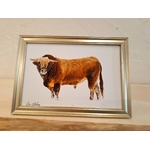 photo taureau aubrac-cadre doré-Retour dAubrac