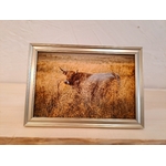 photo vache aubrac-cadre doré-Retour dAubrac