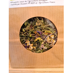 tisane bio Bouquet dAubrac-Retour dAubrac-Aveyron-cadeaux français (2)