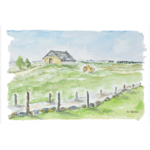 carte postale-aquarelle-buron-plateau de lAubrac-Retour dAubrac-Aveyron-cadeaux français
