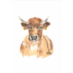 carte postale-aquarelle-vache Aubrac-plateau de lAubrac-Retour dAubrac-Aveyron-cadeaux français