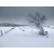 Photo à la croisée des chemins - Aubrac sous la neige-Retour d'Aubrac