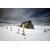 Photo Refuge dans le buron - buron avec neige - Retour d'Aubrac