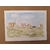 aquarelle troupeau vaches Aubrac-Chinou-Retour d'Aubrac