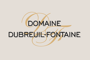 logo-domaine-dubreuil-fontaine