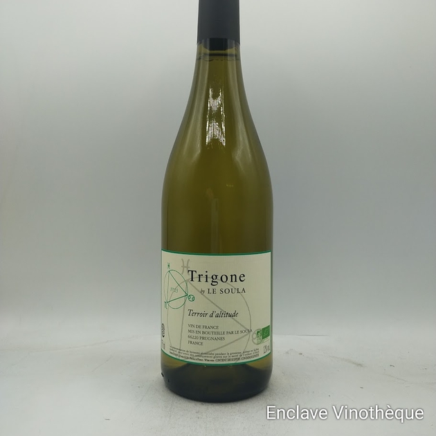trigone-bl-23