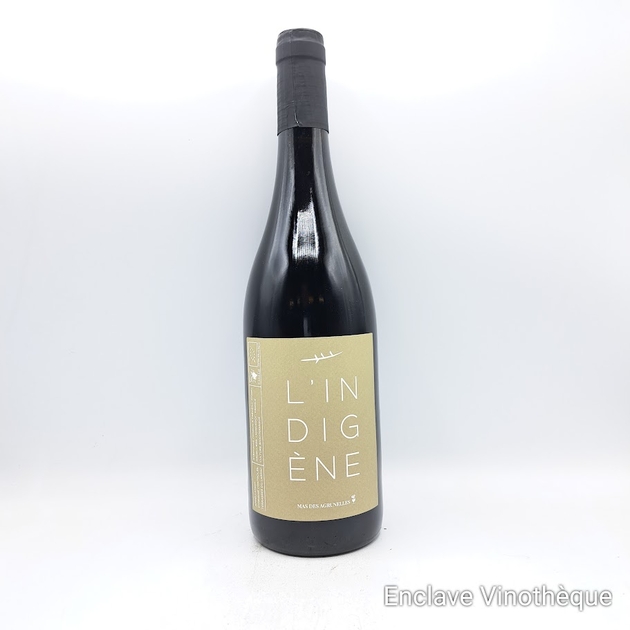 indigene