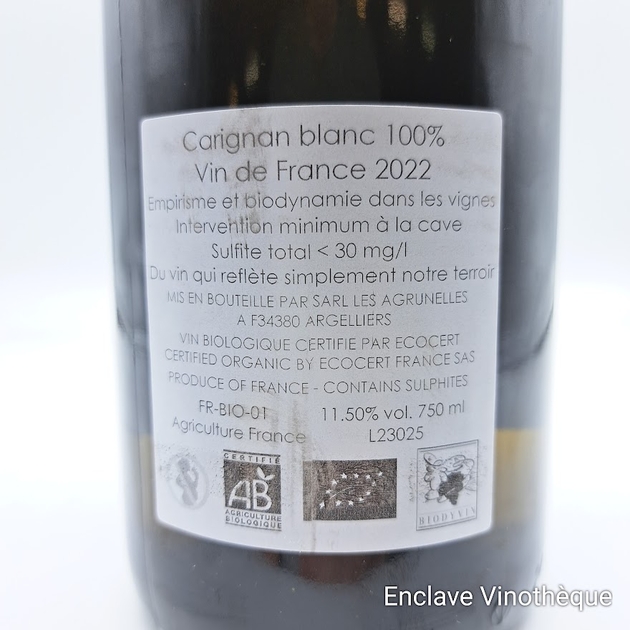 camp-de-lebre22