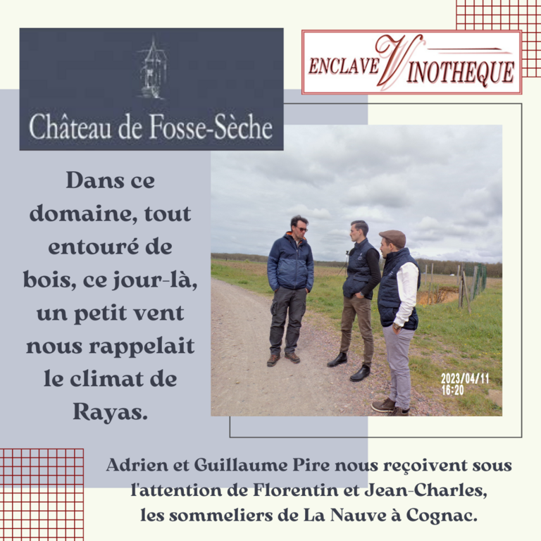fosseseche