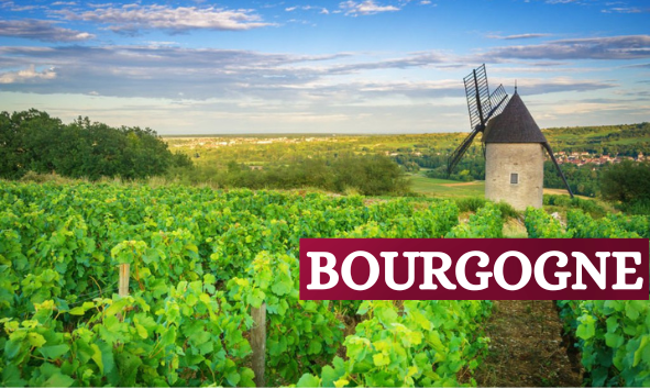 BOURGOGNE