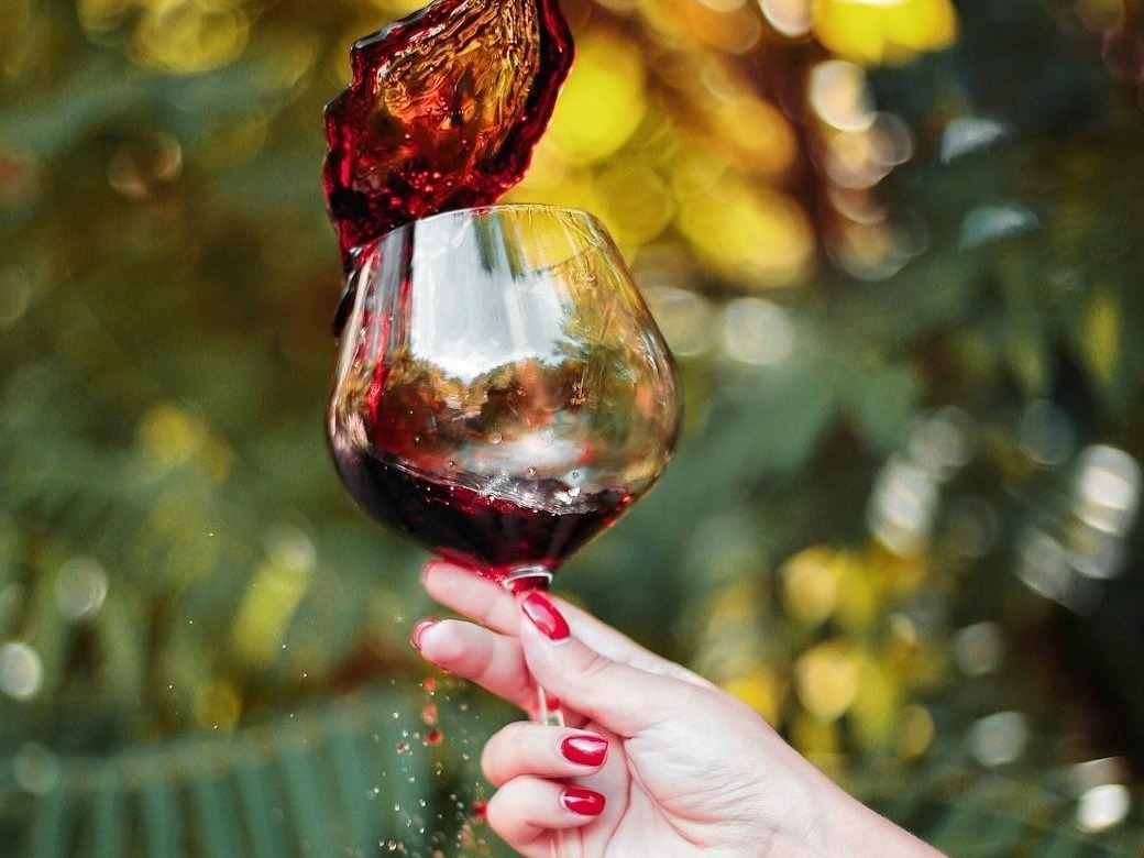 photos gratuites de alcool amateur de vin appreciation du vin