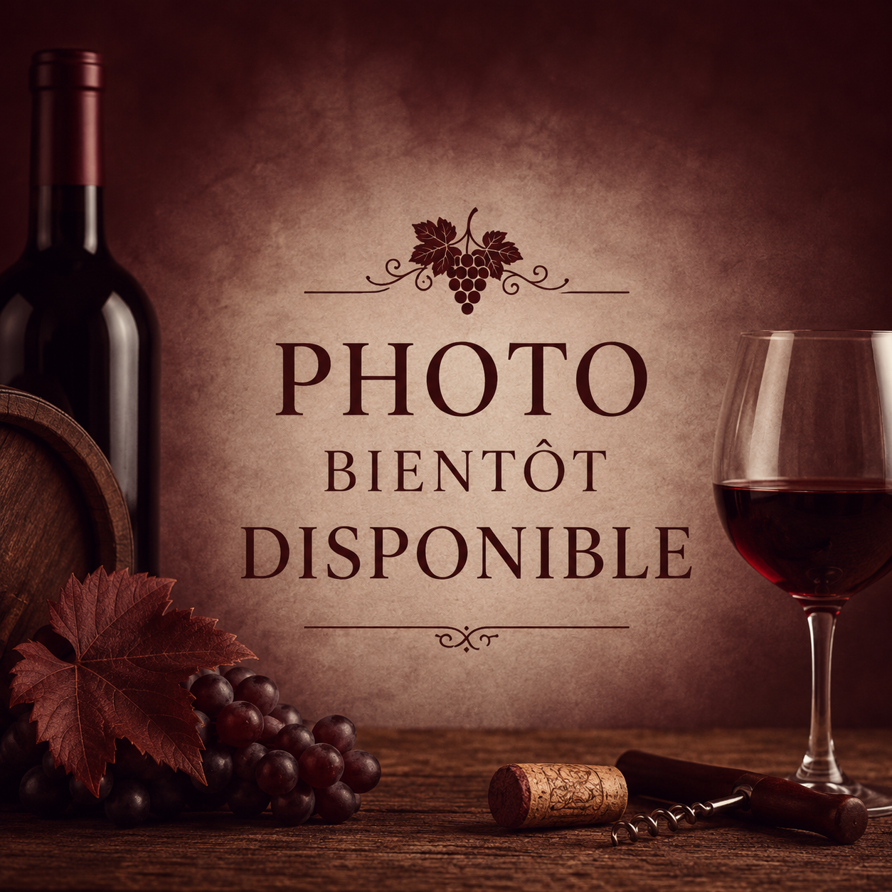 PHOTO BIENTOT DISPONIBLE