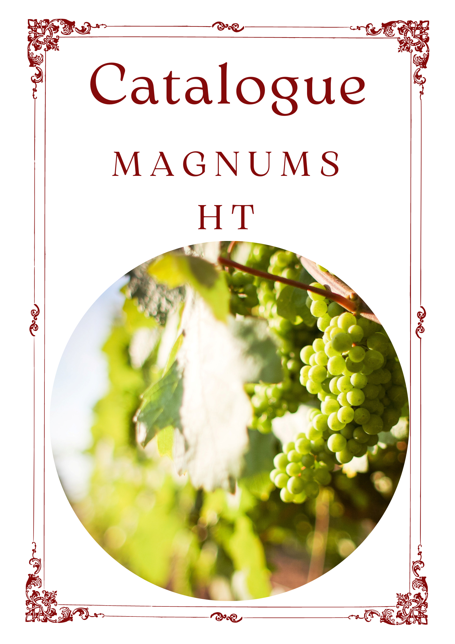 MAGNUMS HT