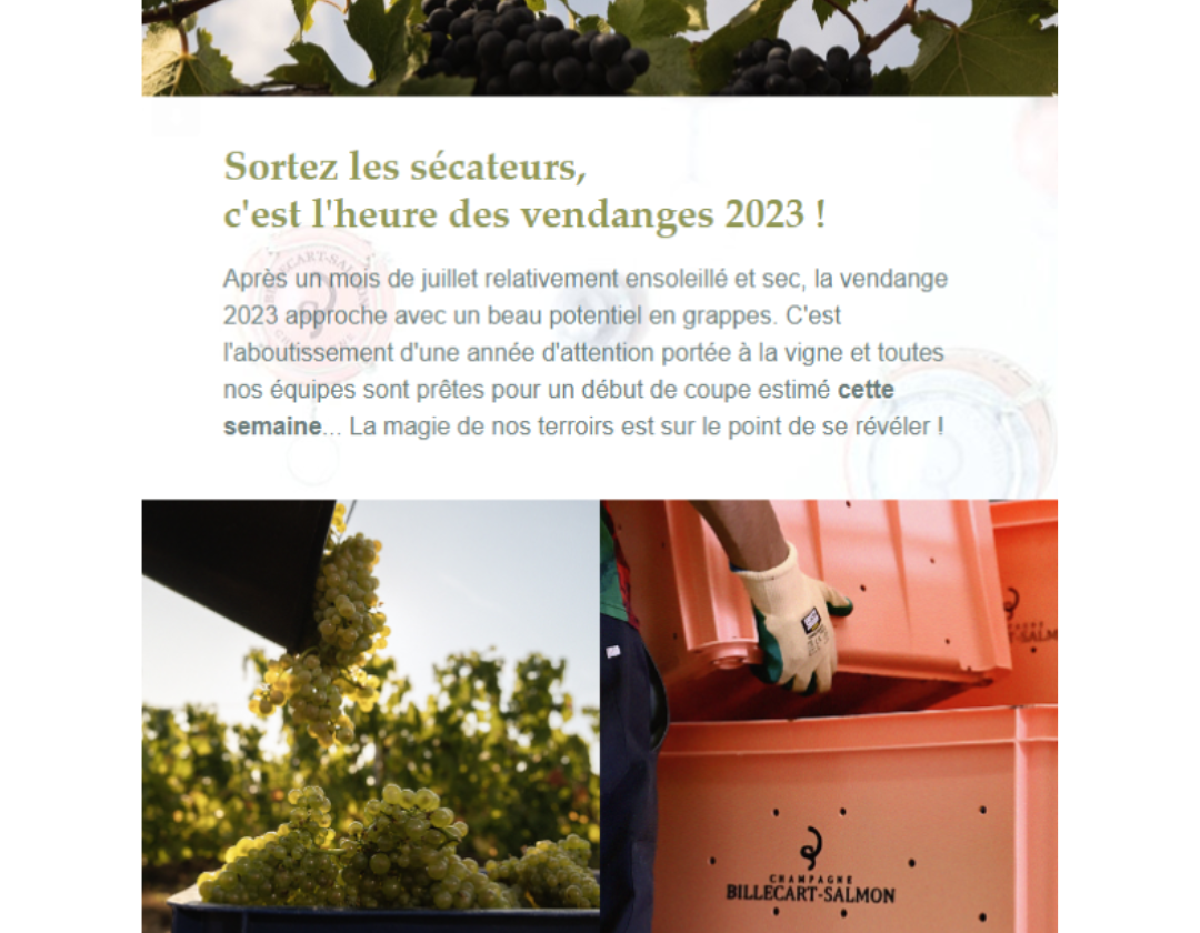 design sans titre 33
