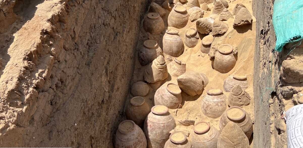 jarres a vin de 5000 ans decouvertes dans tombe puissante reine egyptienne merneith abydos pepins raisin