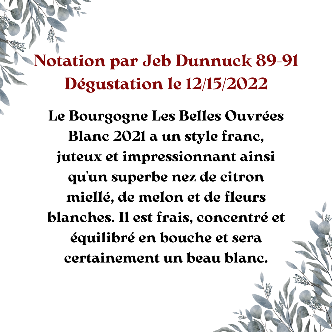 belles ouvrees 21