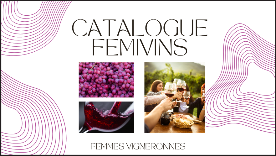 catalogue 882 x 374 px 882 x 498 px 1