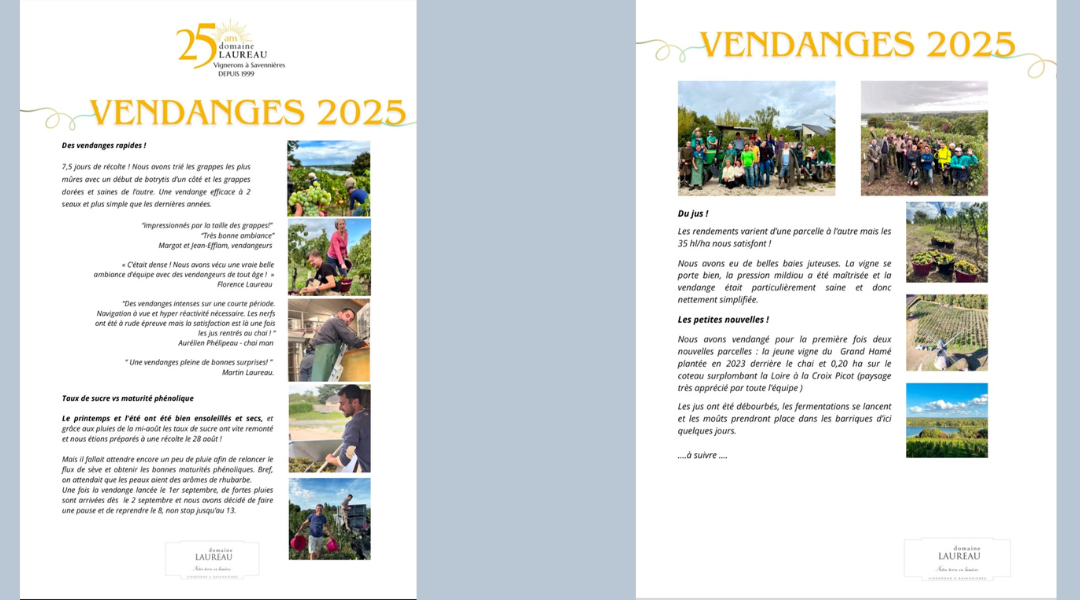 design sans titre