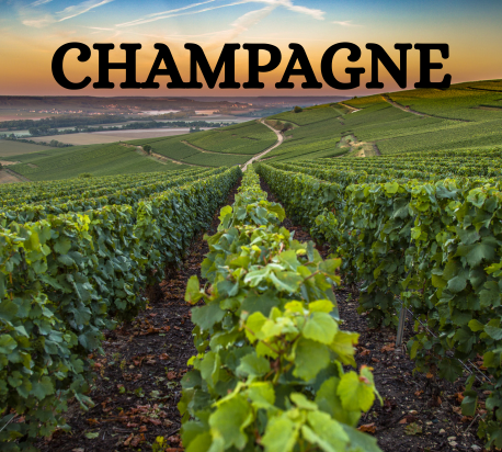 bourgogne 7
