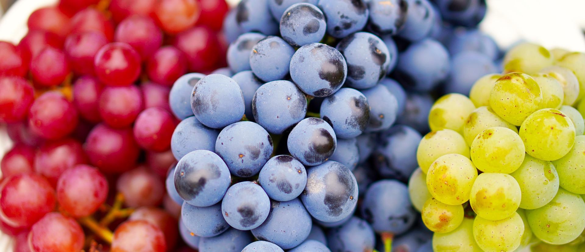 grapes g318162111 1920