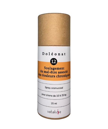 DOLEONAT_12_étuit-removebg-preview