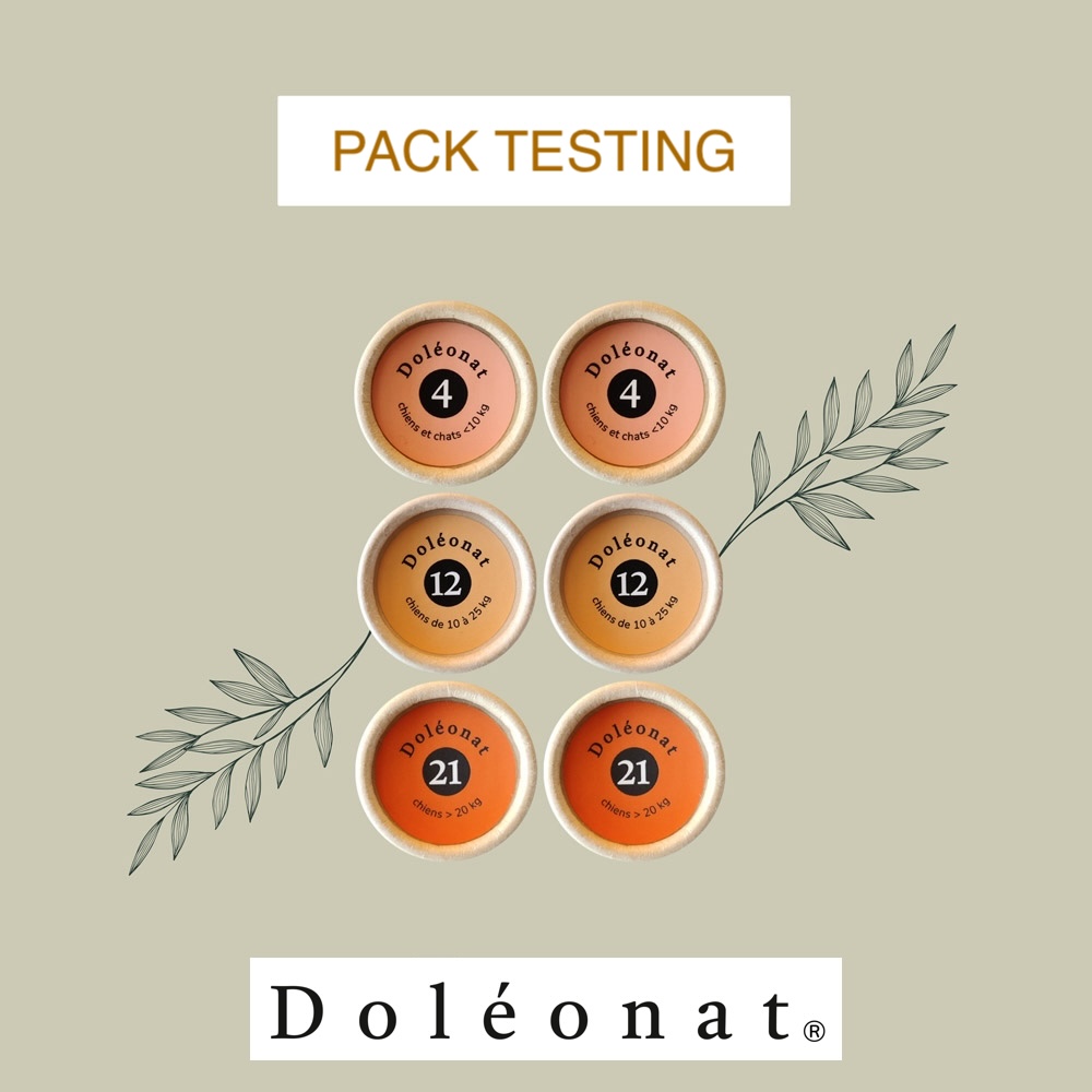 Pack Testing - 6 unités 2*D4 + 2*D12 + 2*D21