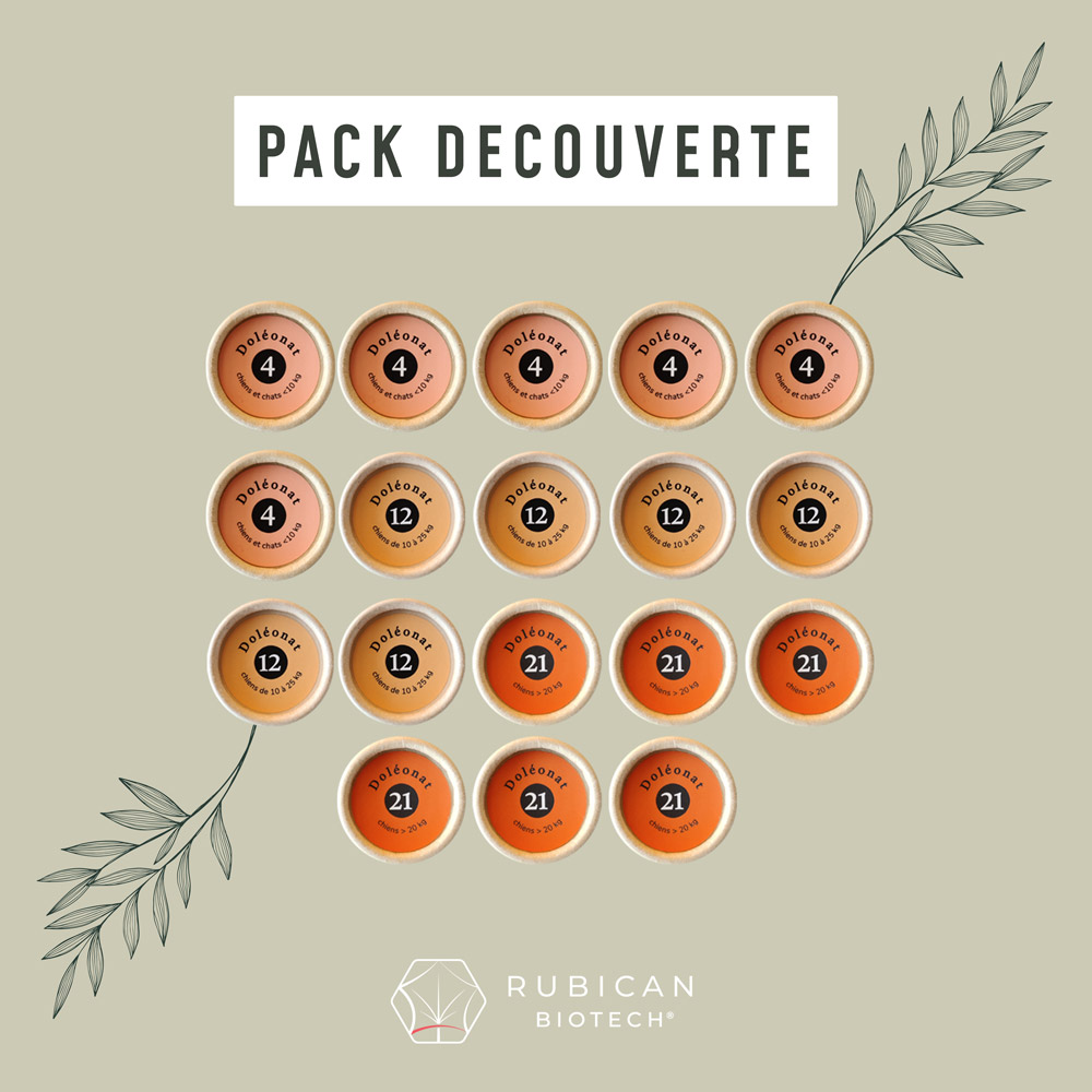 pack-decouverte