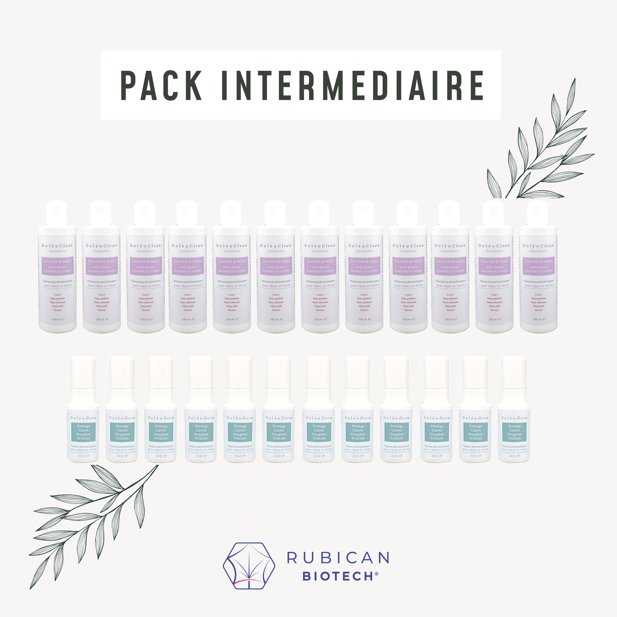 pack-intermediaire-DCDD