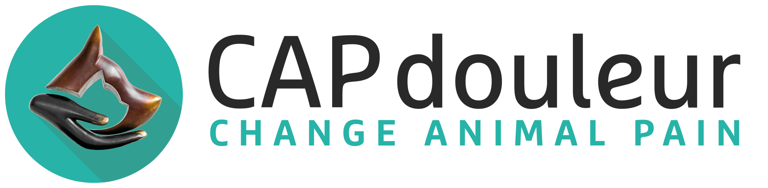 logo capdouleur noir 2017