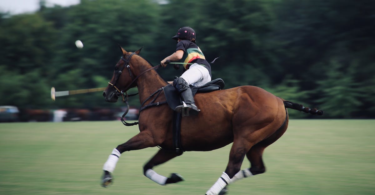 photo panoramique d une personne a cheval