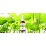 dolivet hydrocotyle