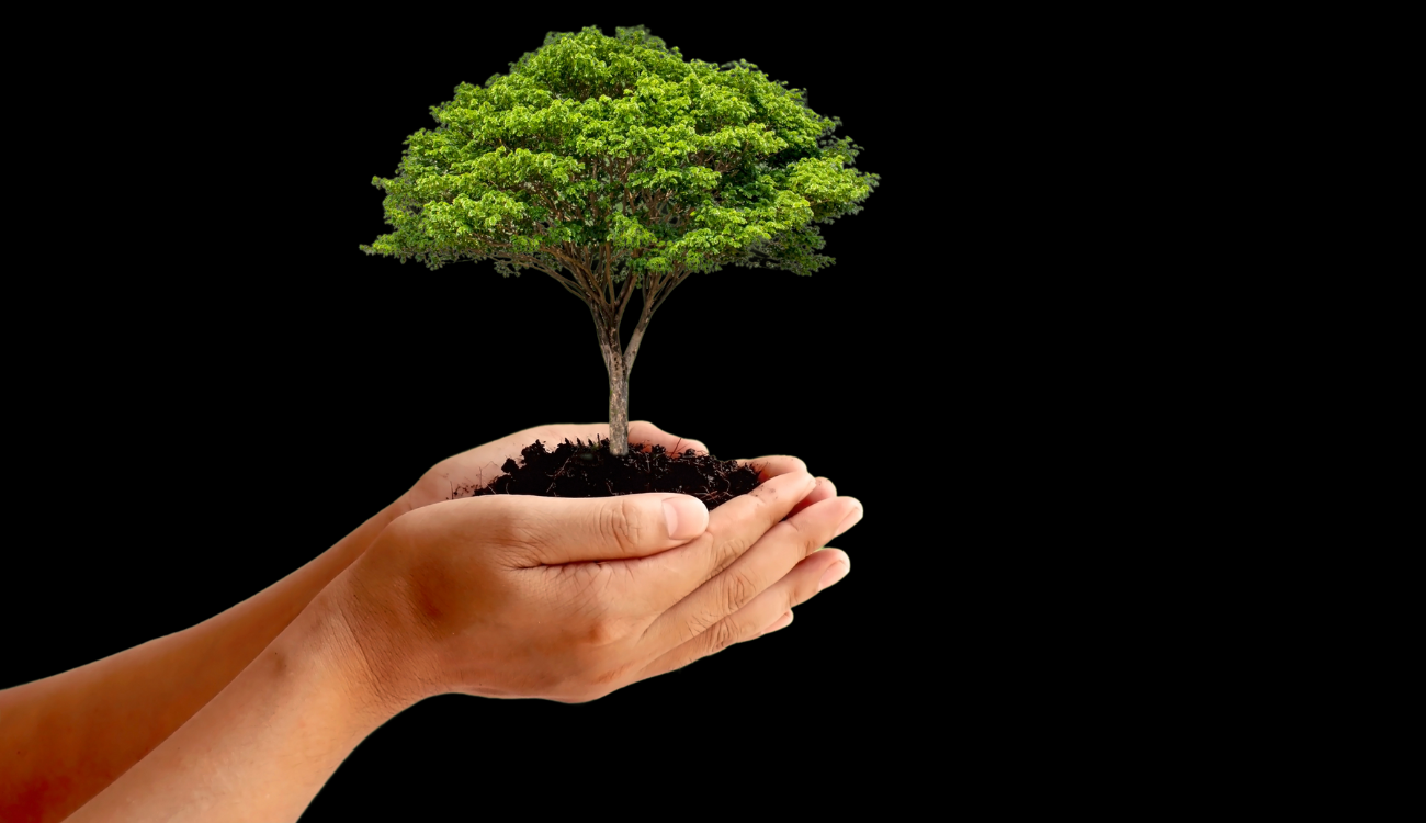une volonte de contribuer a mon niveau a la sauvegarde de la planete