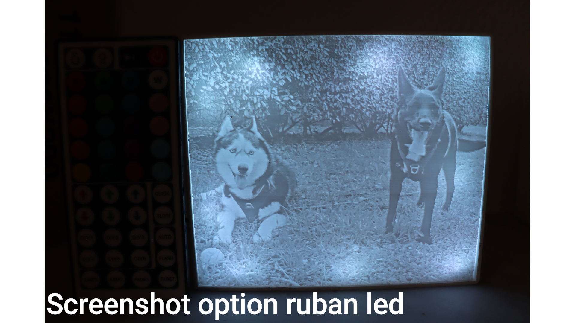 Snapshot_144