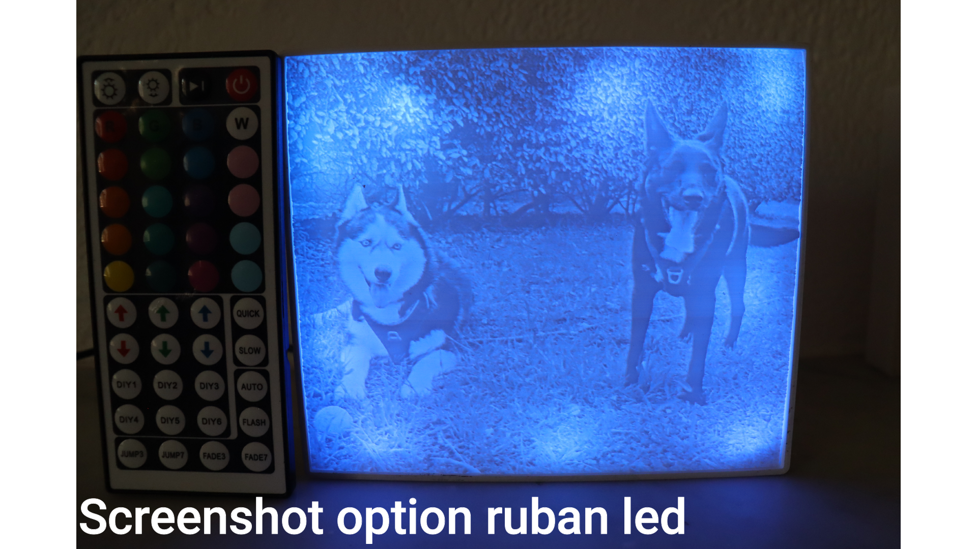 Snapshot_145
