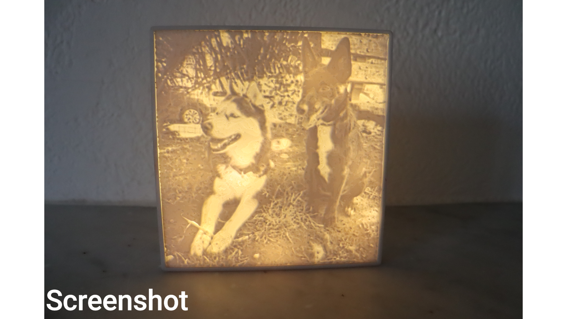 Snapshot_146