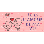 tu es lamour de ma vie oiseaux